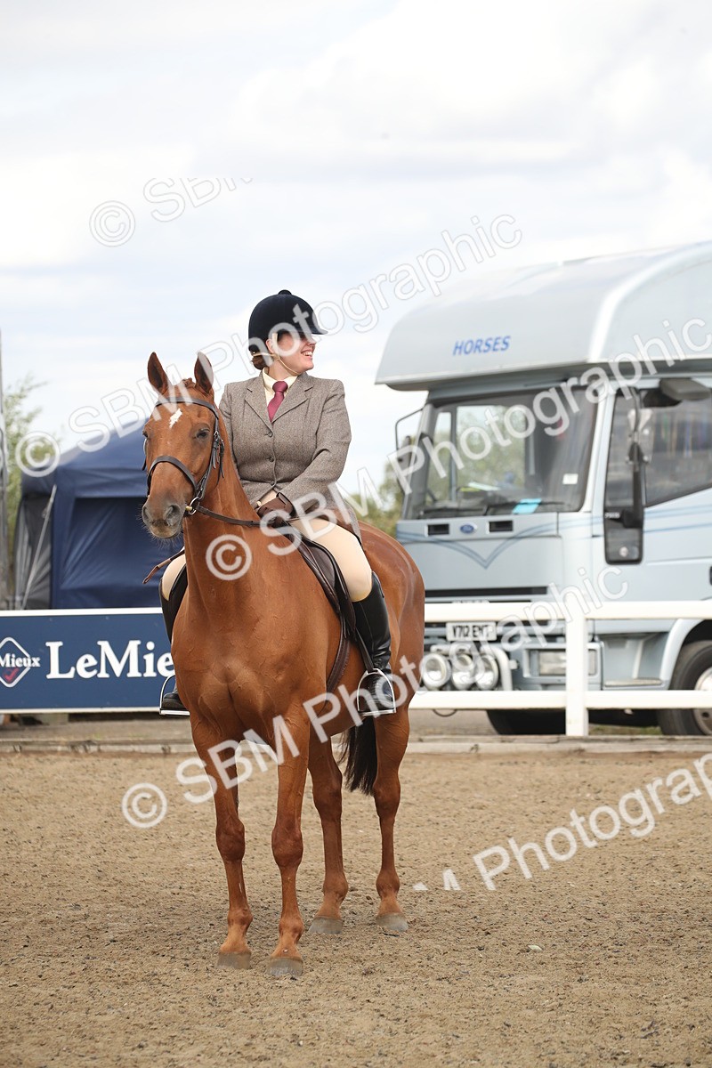 SBM_16547 - Class 506b - Working Veteran - 50cm (20+)