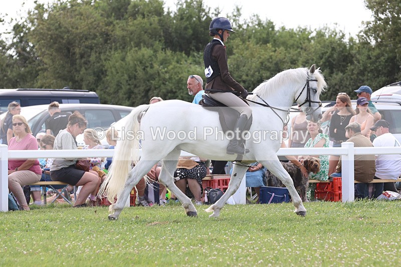 JPP_3831 - Class 23: Working Hunter 80cm