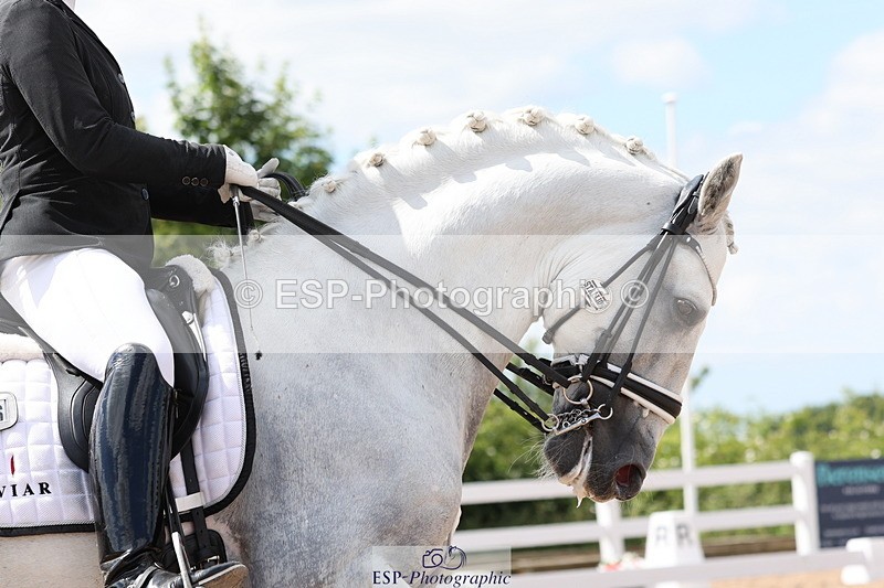 240622A-154210-14293 - Cls 36 BD Adv Medium 98