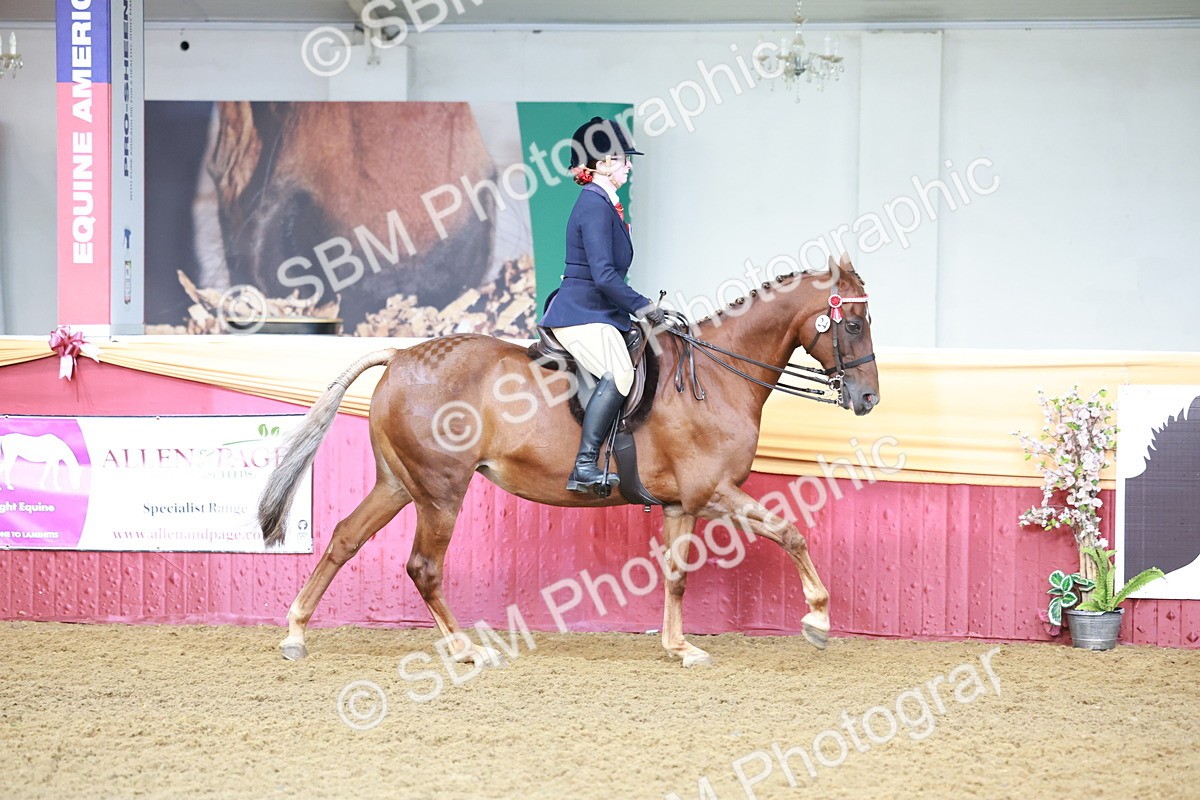 SBM_11818 - Class 102 - Equitation (Best Rider) Adult