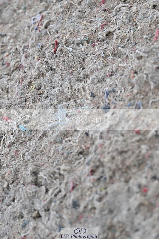 250125-142320-00833 - Dressage - CT Class 7 BE Novice 112