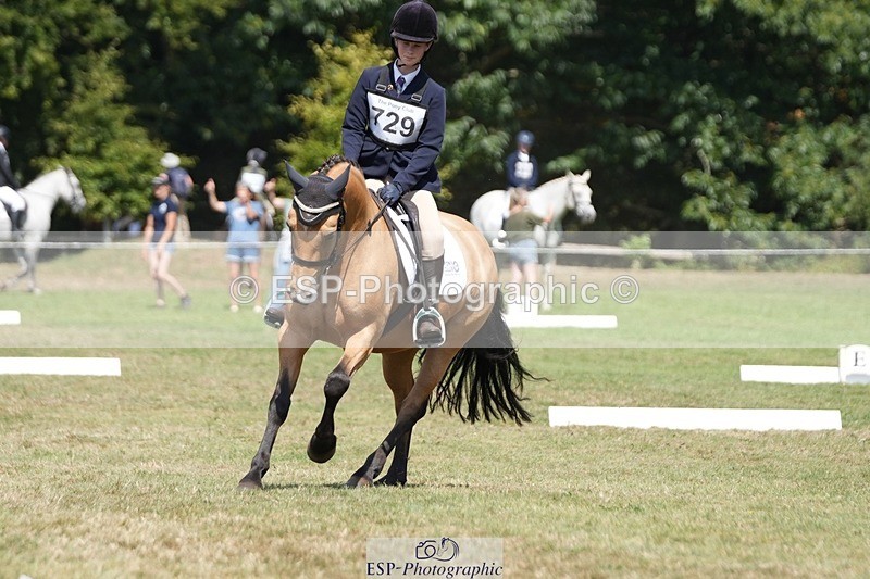 250823A-133702-31057 - Arena B