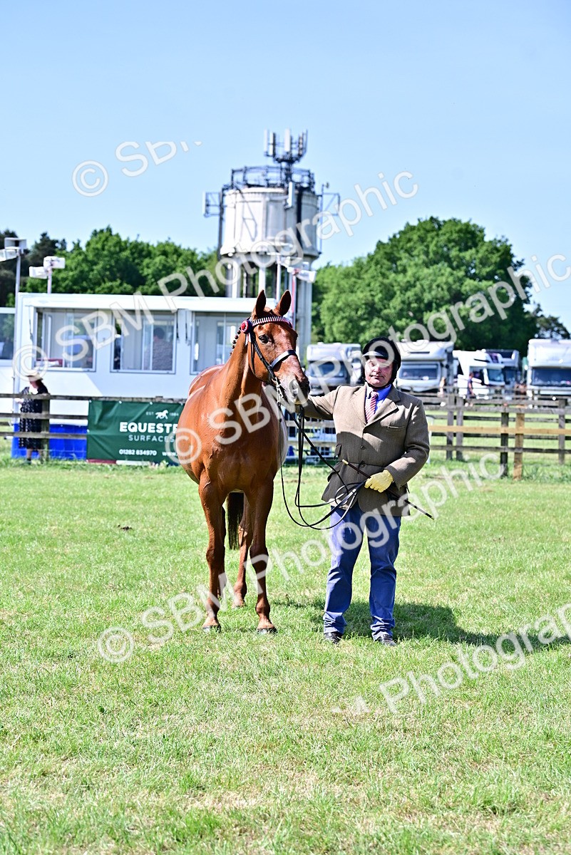 SBM_12866 - Class 98 - Retraining of Racehorse In Hand