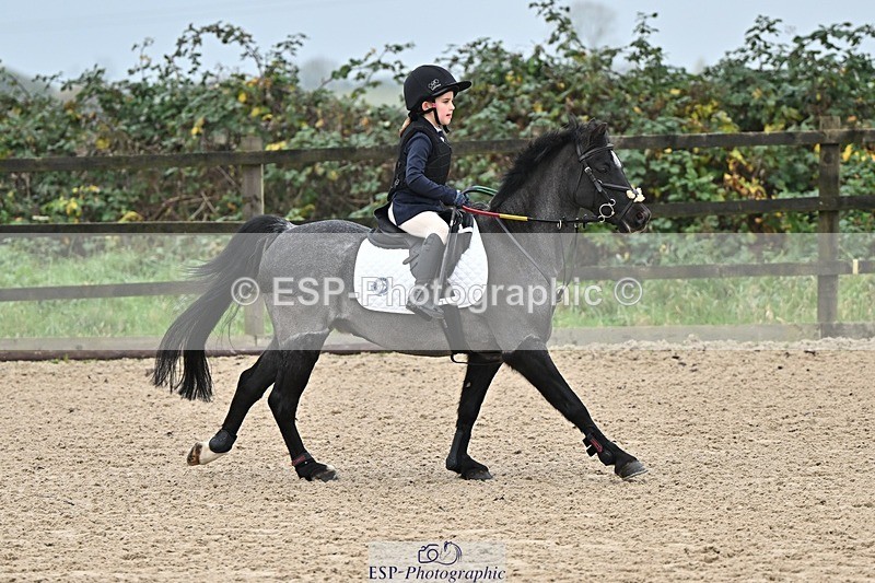 241110-095100-00101 - 40cm Showjumping