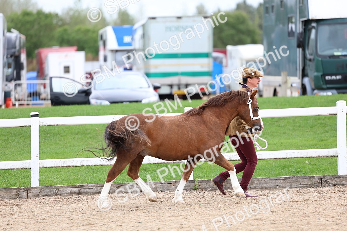 SBM_05882 - Class 29 - IH Veteran Pony