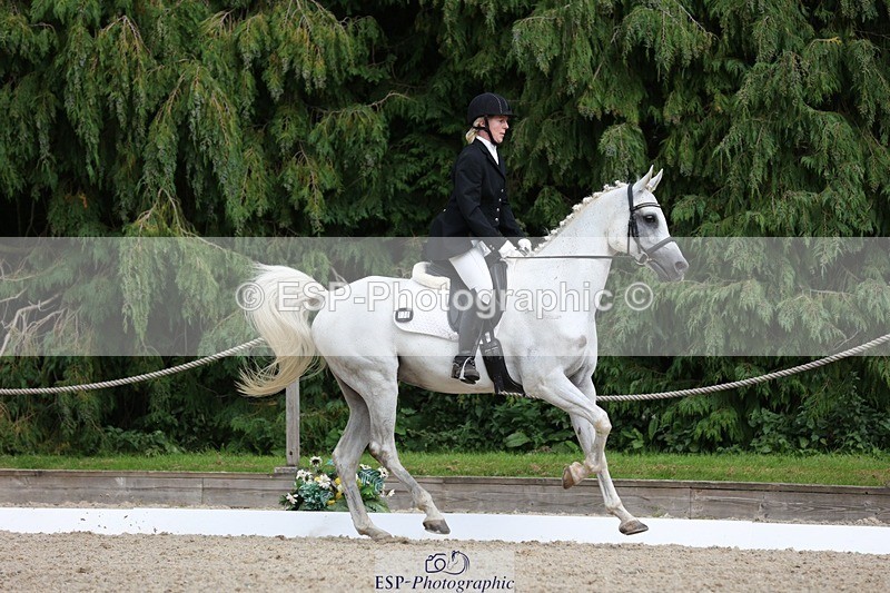 230812-151925-05106 - Cls 5 Novice Bronze 15.00 to End