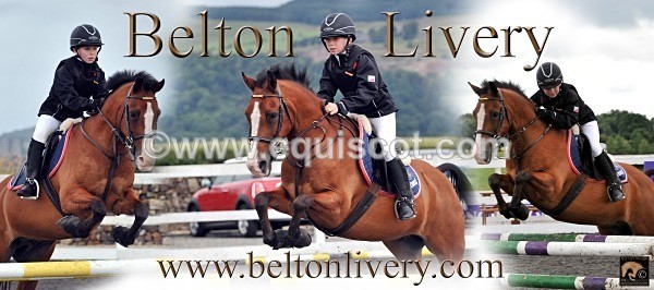 MARION WILSON WEB BANNER copy - MARION WILSON