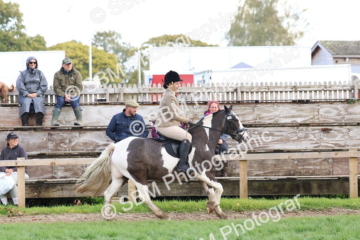 SBM_47681 - S28 - Veteran Ridden