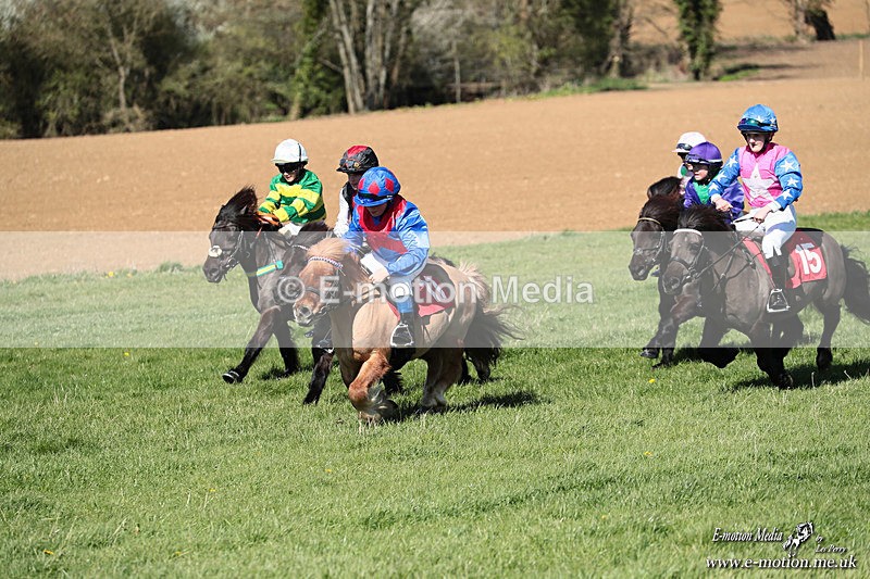 Shet 060426 287 - Shetland Pony Racing Paxford Races Easter Mon 06/04/26