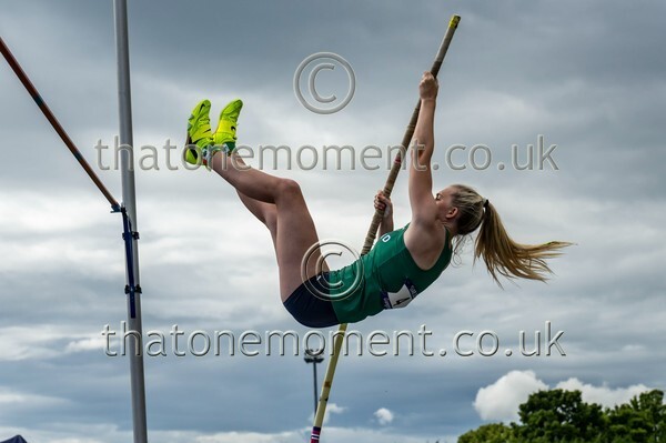 SIAB23-915316 - Field Female Set Two