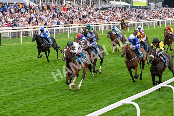 250725-Race 6-Luna A Inbhir Nis-0834 - Race 6 8.23pm Sky Bet Go-Racing-In-Yorkshire Summer Festival Handicap