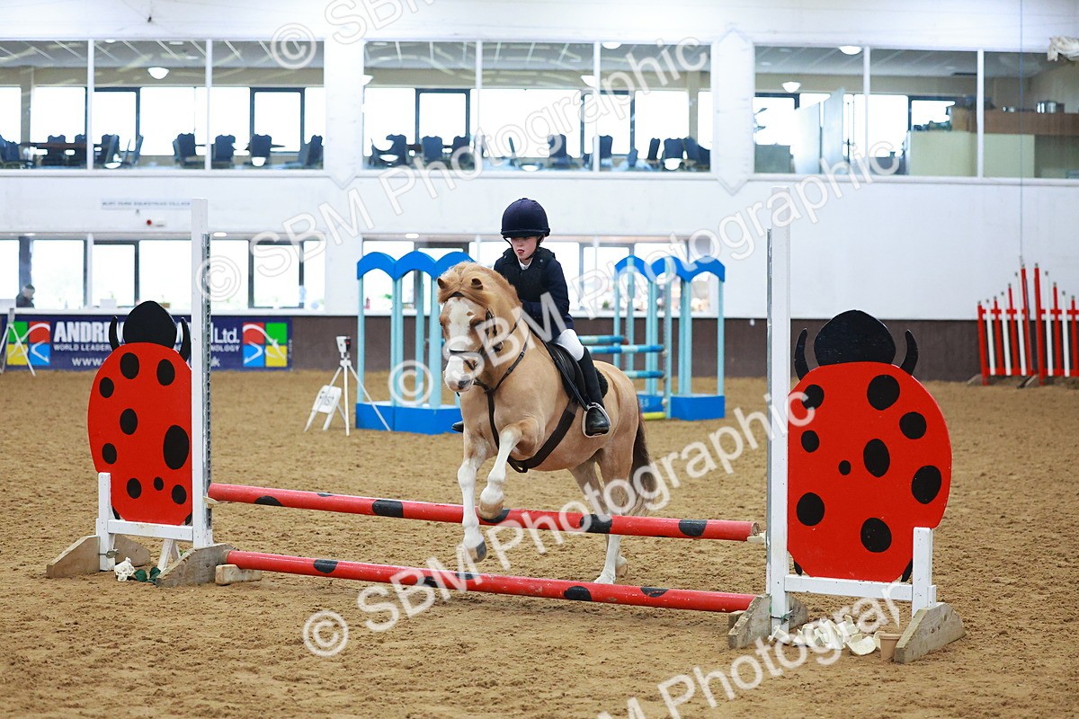 SBM_000298 - Class 19 - 50cm