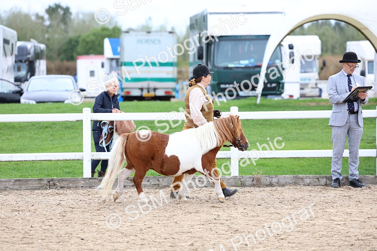 SBM_05822 - Class 29 - IH Veteran Pony