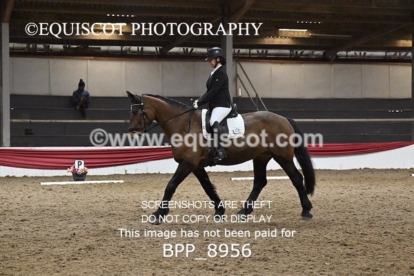 BPP_8956 - NOVICE 6