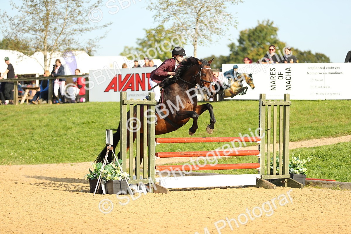 SBM_60248 - J41 - Grand Tour 95cm Championship