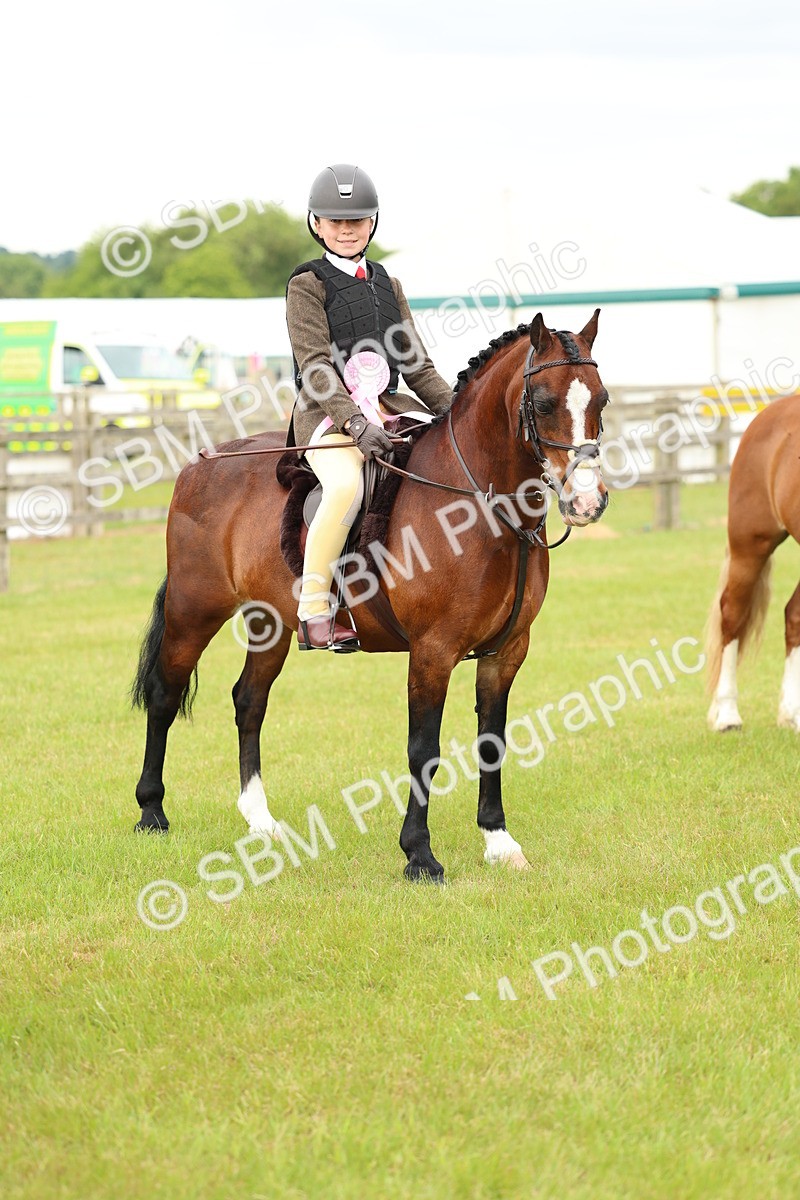 SBM_10414 - Class 44-45 - LIHS BSPS Open Nursery and Cradle Stakes
