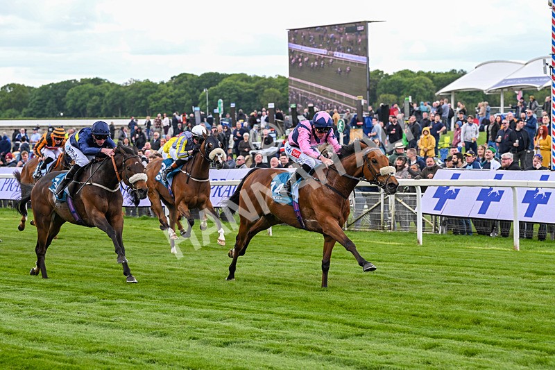 150526-Race 1-Zarathos-6908 - Race 1 1.45pm Yorkshire Equine Practice Handicap