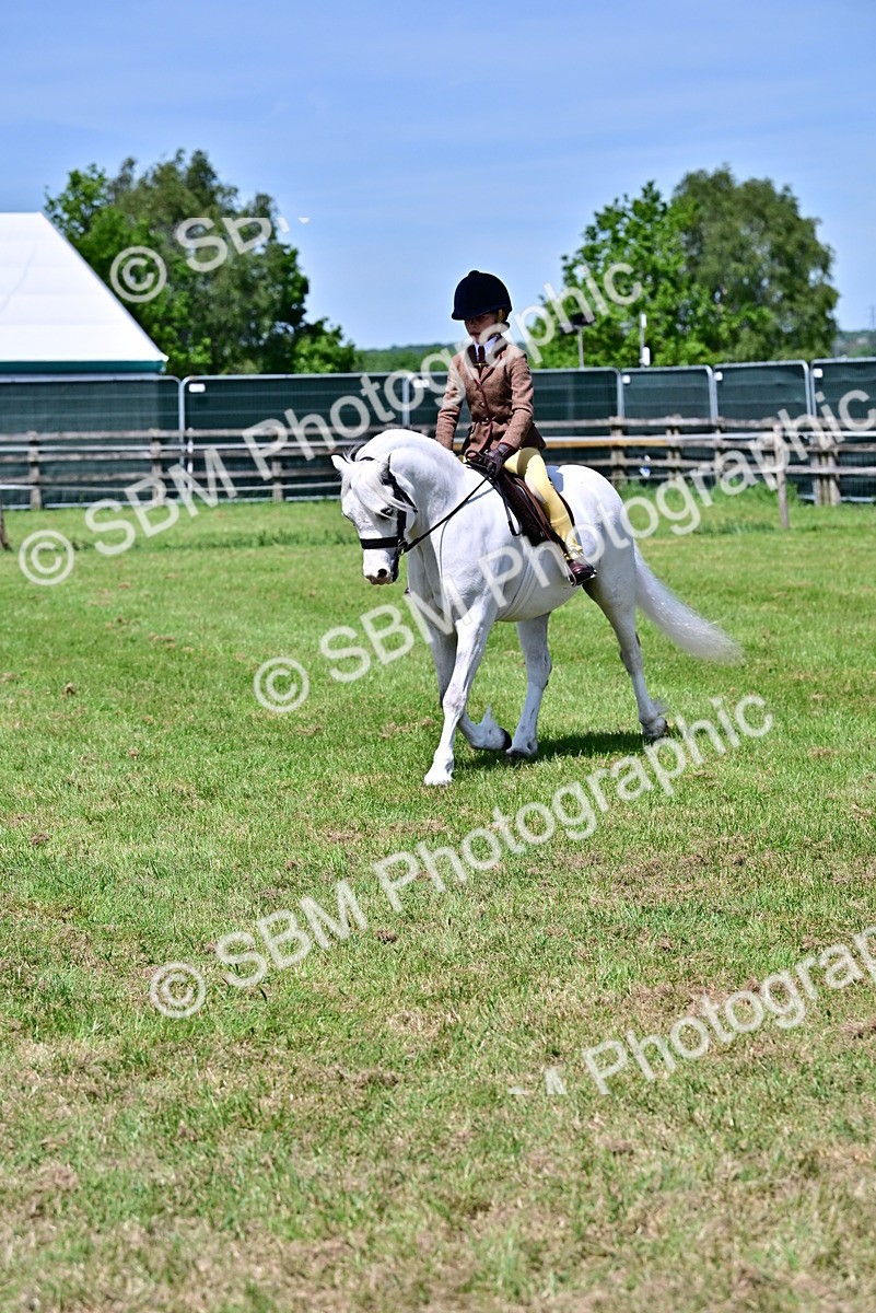 SBM_06036 - Class 59-60 - TSR M&M  Lear Rein and First Ridden Amateur of the year