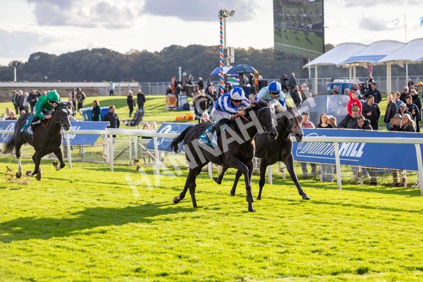 111024-Race 6-Fondo Blanco-7004 - Race 6 4.20pm William Hill EBF Novice Stakes