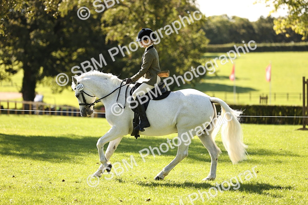 SBM_19128 - S3 - TSR Ridden Pony Showing