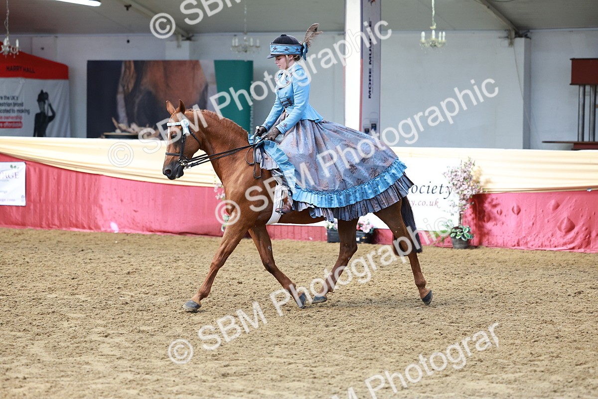 SBM_13758 - Class 106 - Ridden Costume -Astride Adult (15-19)