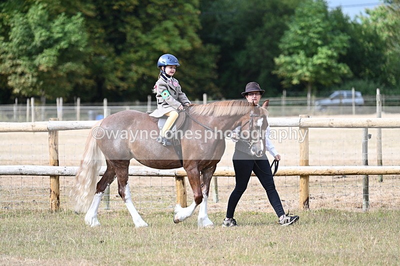 WJ7_6397 - Class 1 Lead Rein Pony