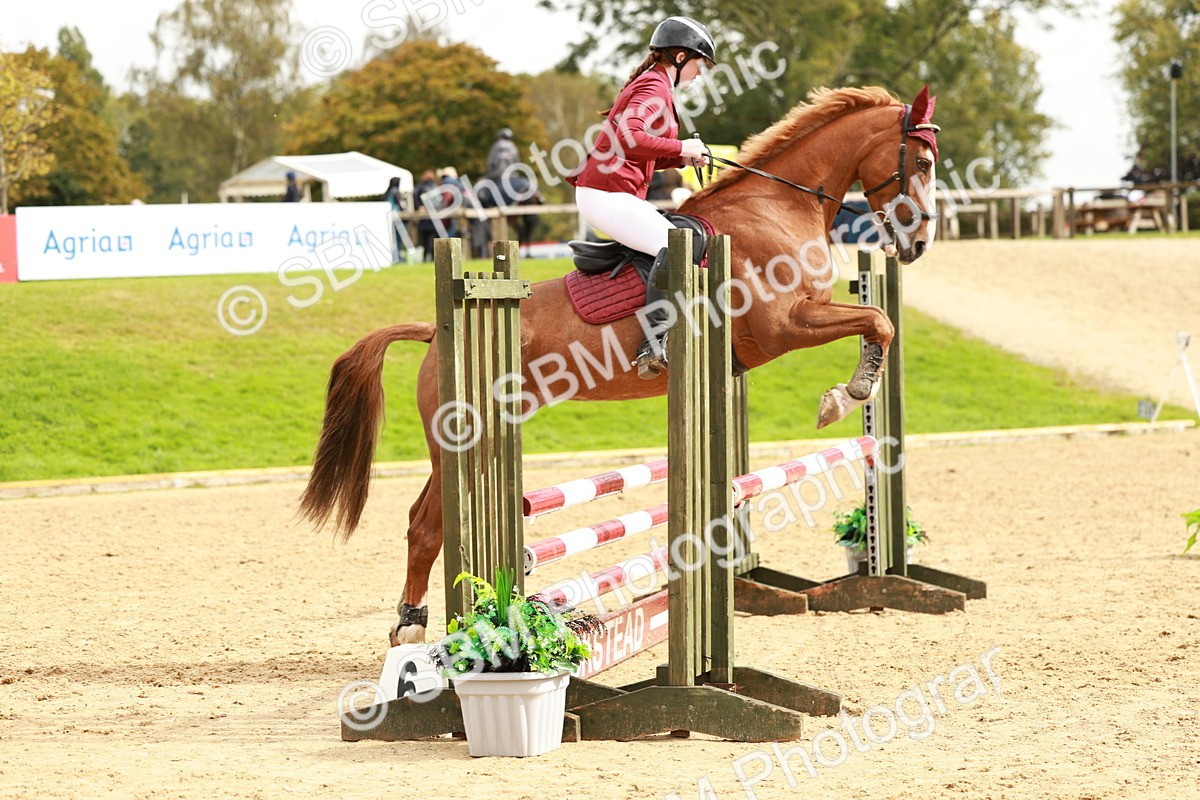 SBM_38450 - Supreme Championship 80cm 85cm