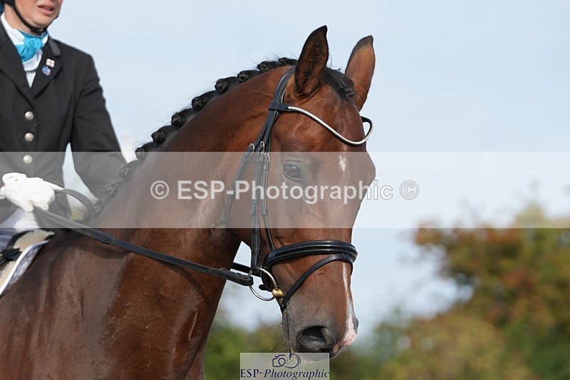 250906-093435-01147 - 031-Rebecca.ParsonageMr.T.STW