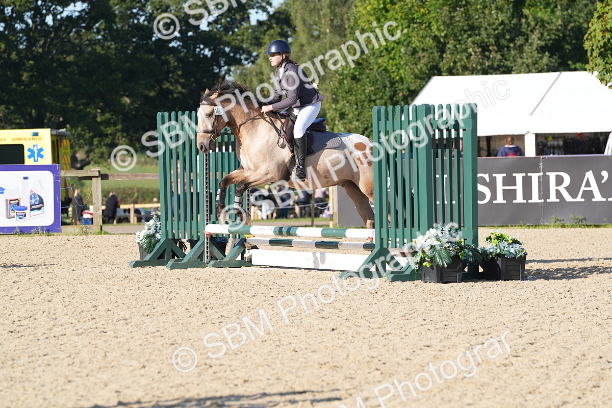 SBM_34461 - J62 - Clear Round 50cm