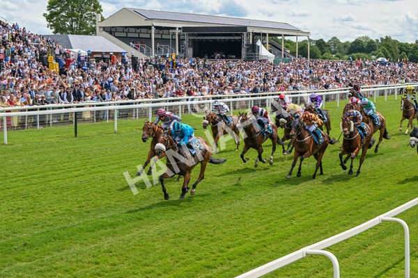 310525-Race 1-Ingleby Archie-8575 - Race 1 1.30pm William Hill Keep Your Raceday Positive Handicap