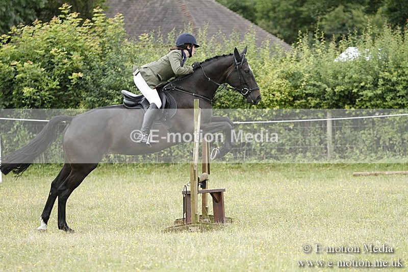 BVR160717-868 - Ring 3 BVRC Show 16/07/17