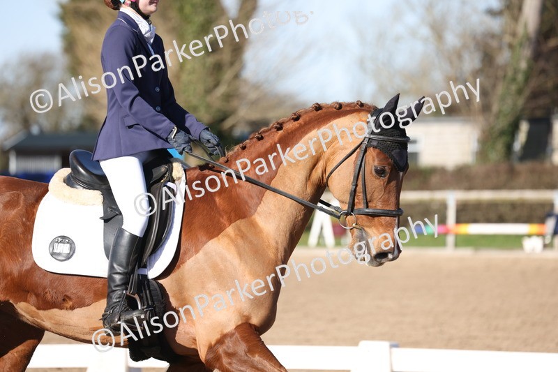 20260214-0330 - Class 4 - Novice 2