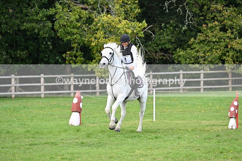 WJ7_4068 - 40cm Time 10:44 to 10:52