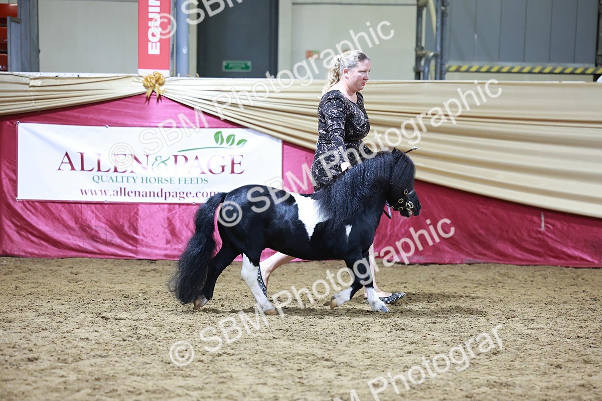 SBM_20815 - Class L - Coloured Champ