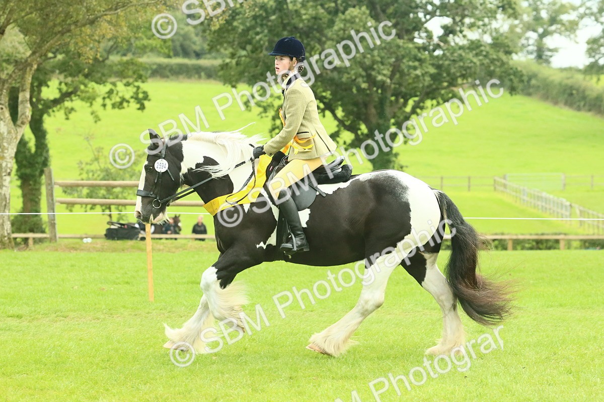 SBM_75045 - Ridden Pony Supreme Championship