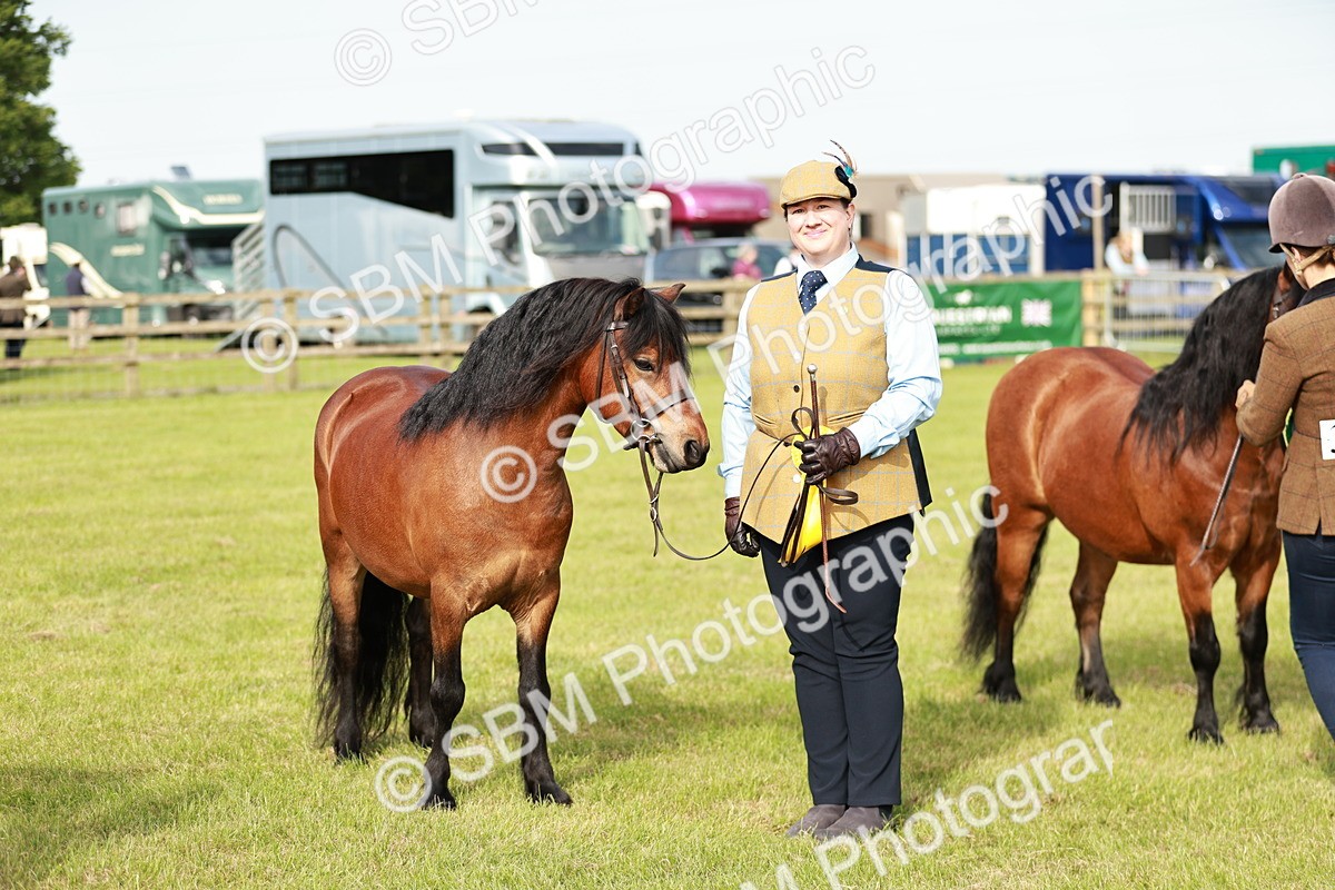 SBM_00553 - Class 14-23 - Mountain & Moorland In Hand Non Welsh