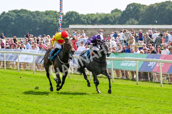 130625-Race 4-India Love-9229 - Race 4 3.35pm Juddmonte EBF Fillies' Restricted Novice Stakes