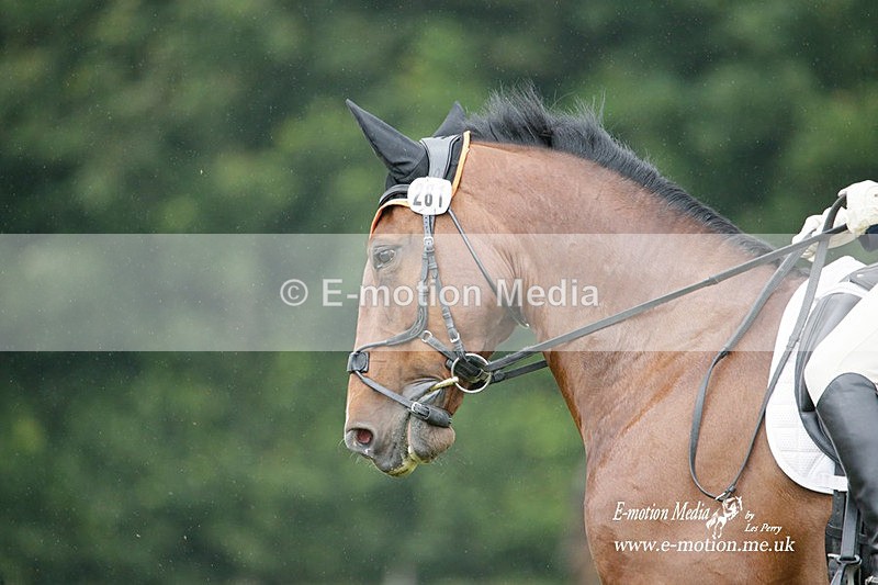 BVRC 030721 653 - Bourne Valley Riding Club Dressage 03/07/21