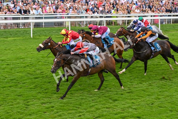 270724-Race 5-Theme Park-7421 - Race 5 4.35pm Sky Bet Prize Drop Handicap