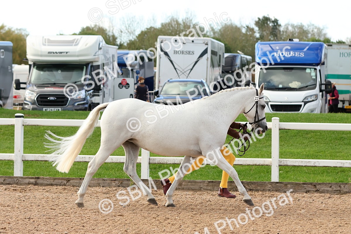 SBM_09188 - Class 204 - Young Handler