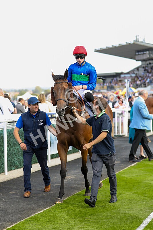 310824-Race 4-Spirit Of Applause-1595 - Race 4