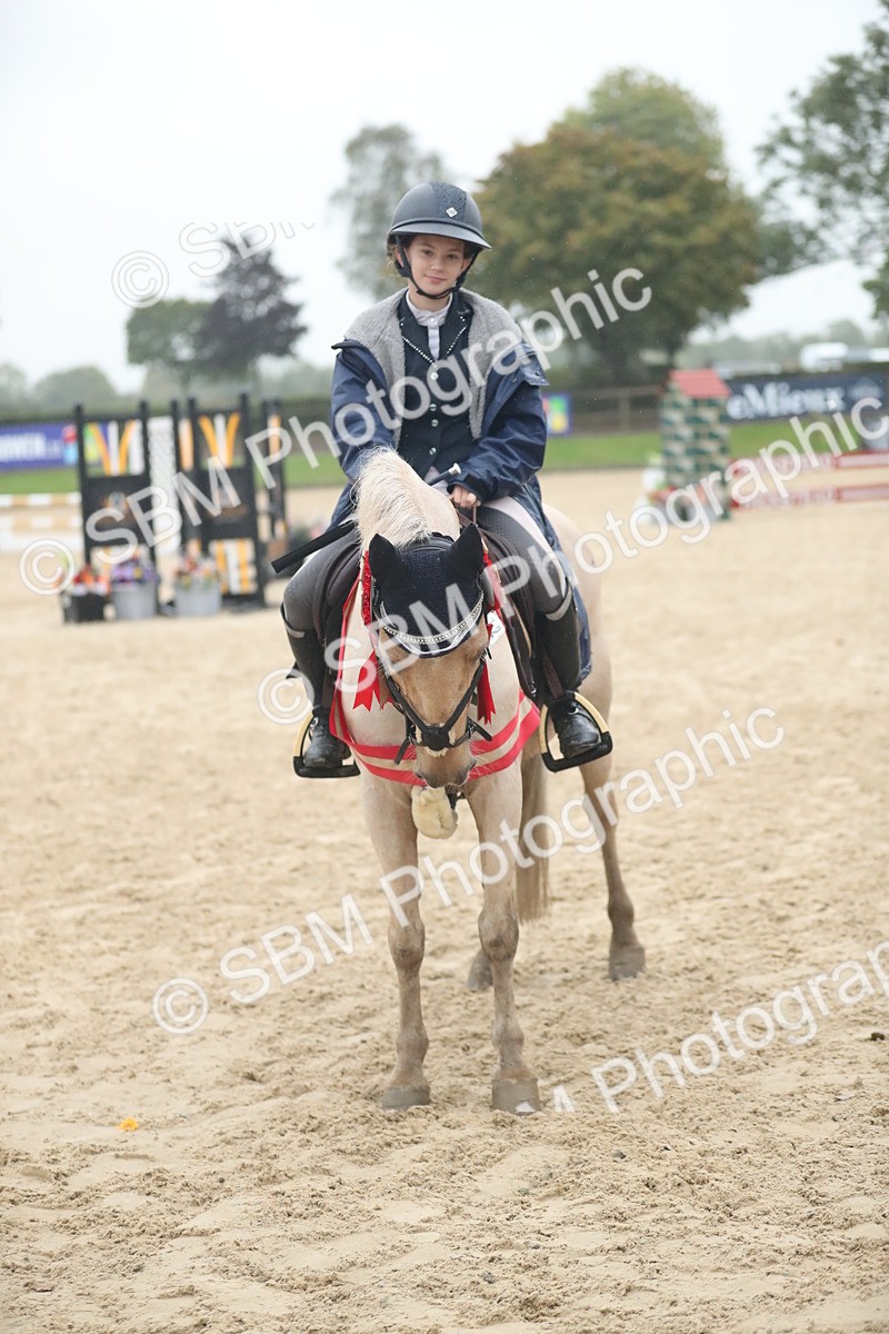 SBM_74319 - Supreme championship Junior Pony 70cm 75cm
