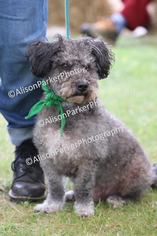 20250607-0331 - Class 8 - Best groomed