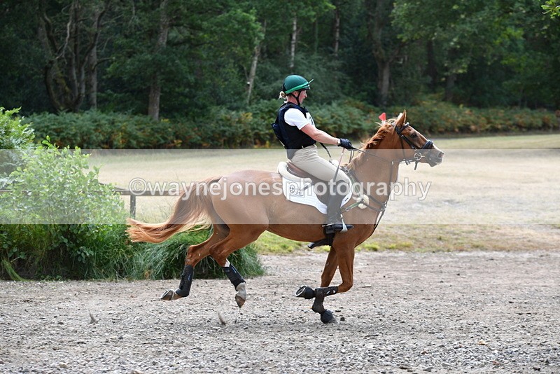 WJ5_2128 - XC Time 12:56 to 13:21