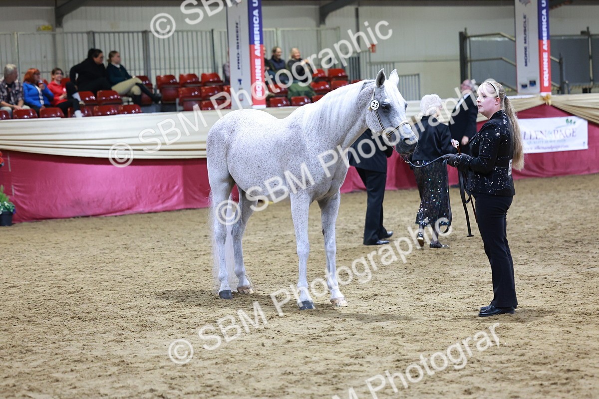 SBM_21225 - Class R - Veteran Champ