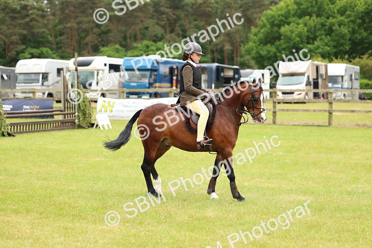 SBM_10303 - Class 44-45 - LIHS BSPS Open Nursery and Cradle Stakes