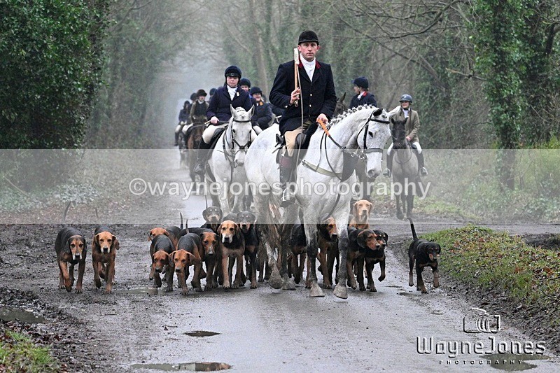WJ7_3670 - Edited examples