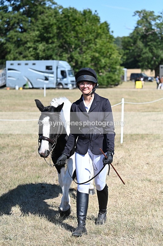 WJ7_1823 - Class 43 Best Six Legs (In hand)