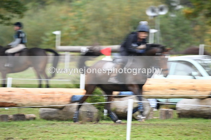 WJ6_2661 - 80cm Cam 1 Time 11:23 to 12:04