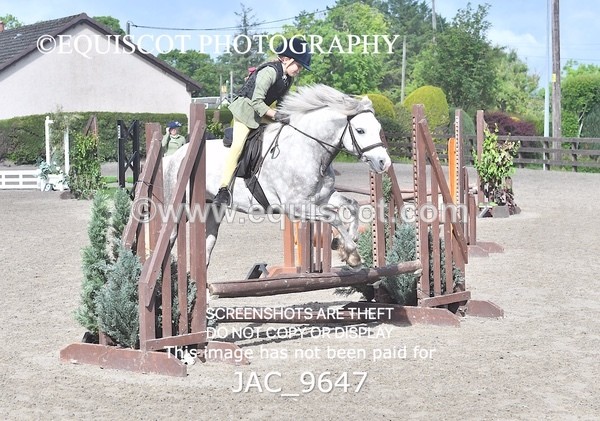 JAC_9647 - CLASS 1 Nursery Novice Working Hunter (0.50m)
